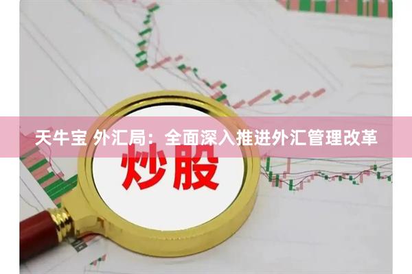 天牛宝 外汇局：全面深入推进外汇管理改革