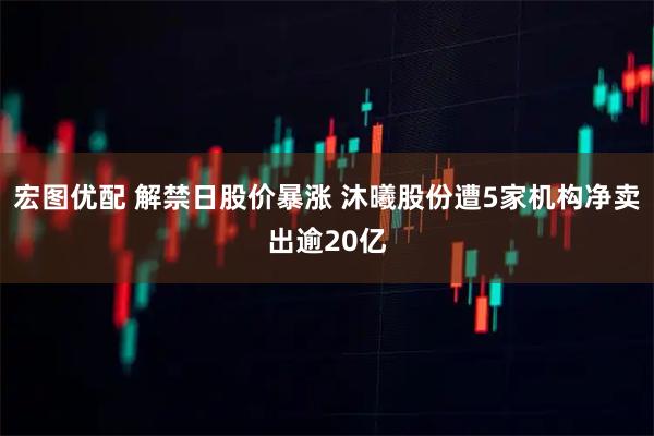 宏图优配 解禁日股价暴涨 沐曦股份遭5家机构净卖出逾20亿