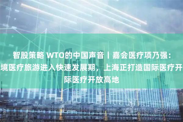 智股策略 WTO的中国声音丨嘉会医疗项乃强:中国入境医疗旅游进入快速发展期,上海正打造国际医疗开放高地